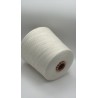 FLAIR Botto Giuseppe 2/27 2/28